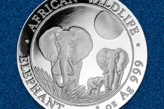 Серебряная монета Слон Сомали 1 унция